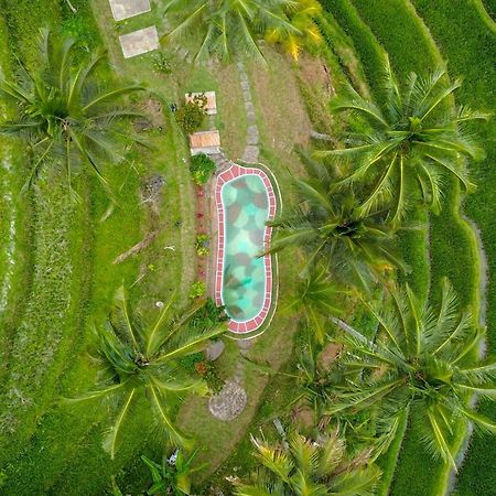 Pesona Bali Ecolodge By Agata Jatiluwih Exterior foto