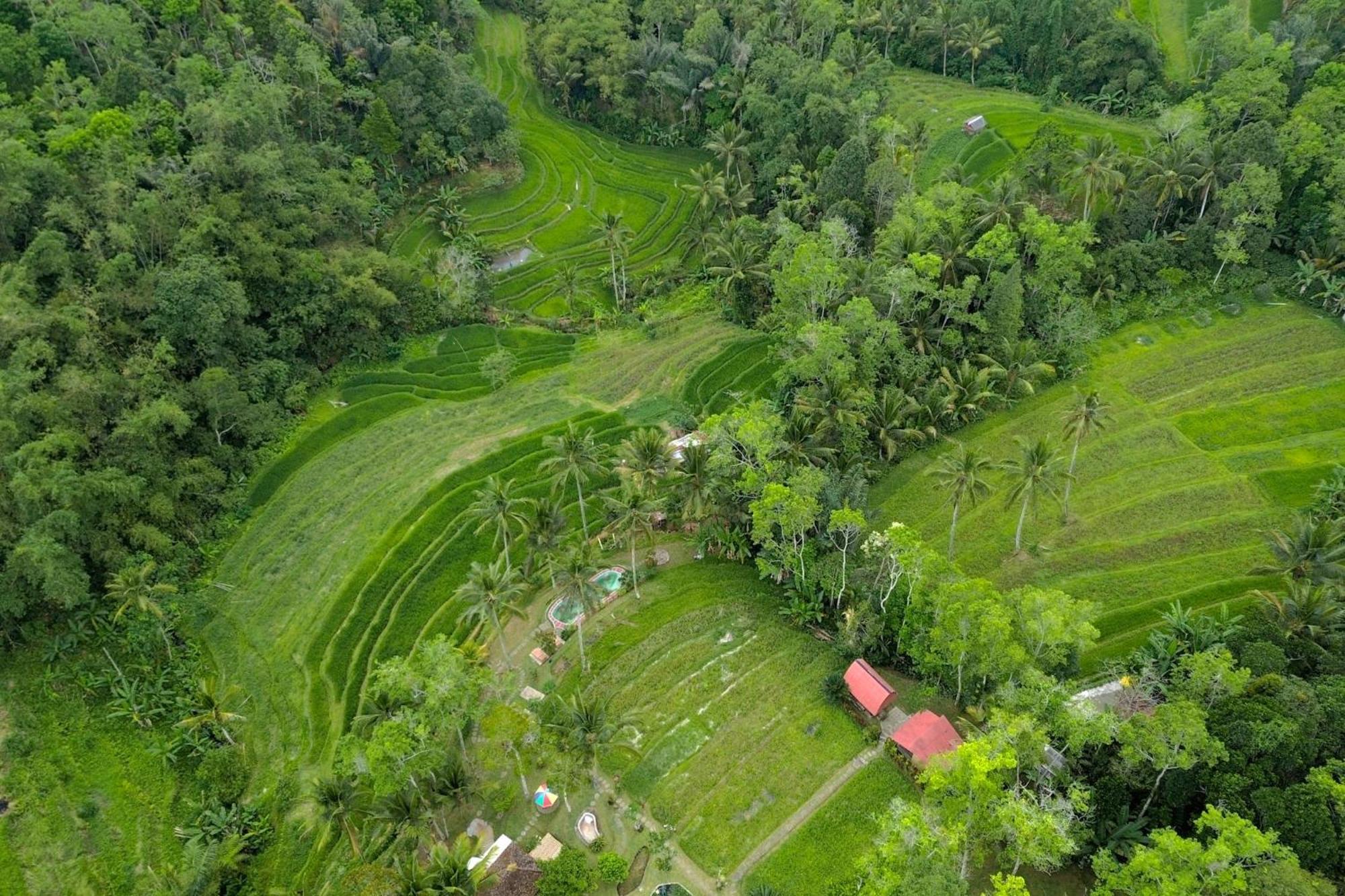 Pesona Bali Ecolodge By Agata Jatiluwih Exterior foto