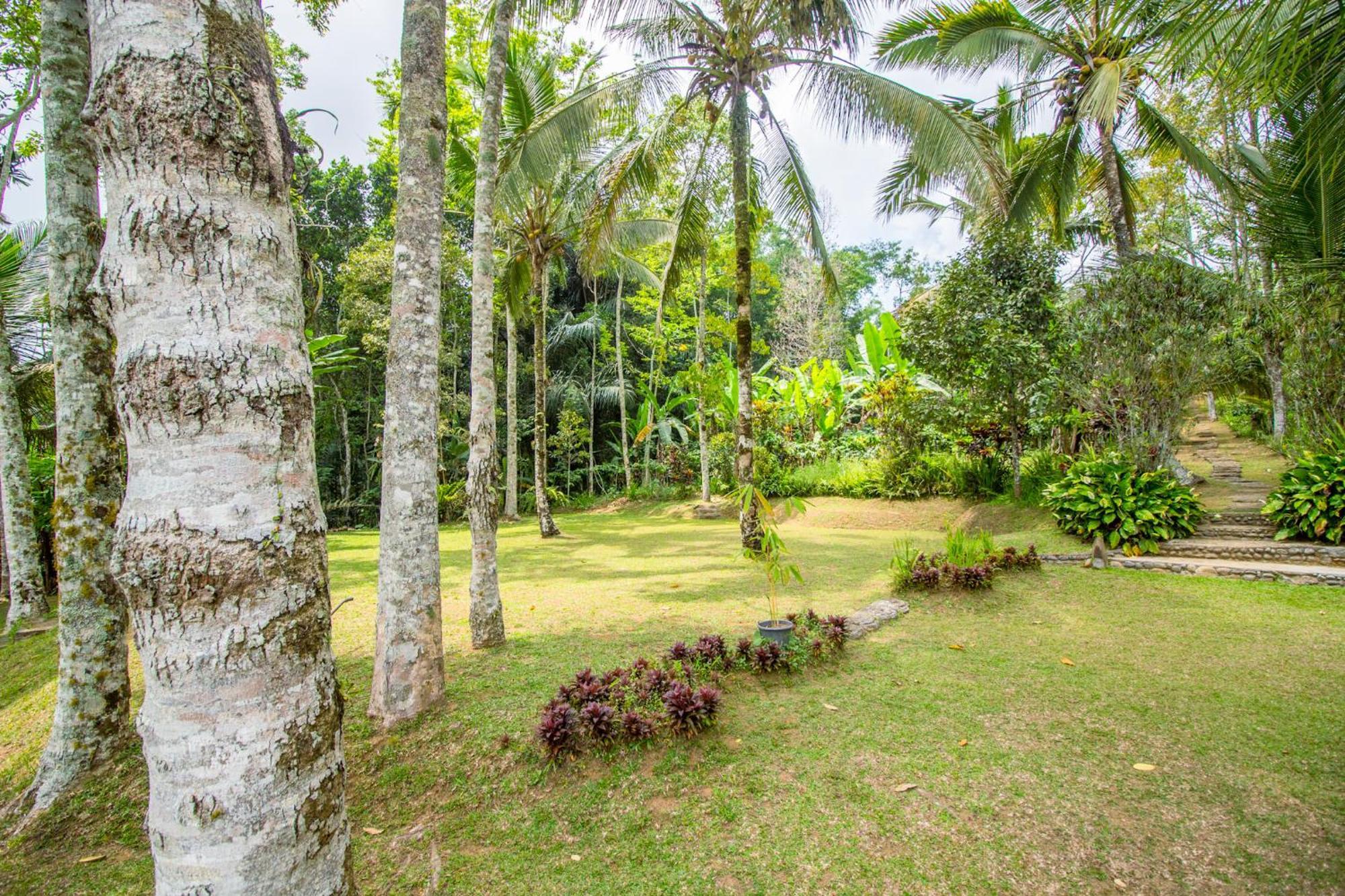Pesona Bali Ecolodge By Agata Jatiluwih Exterior foto