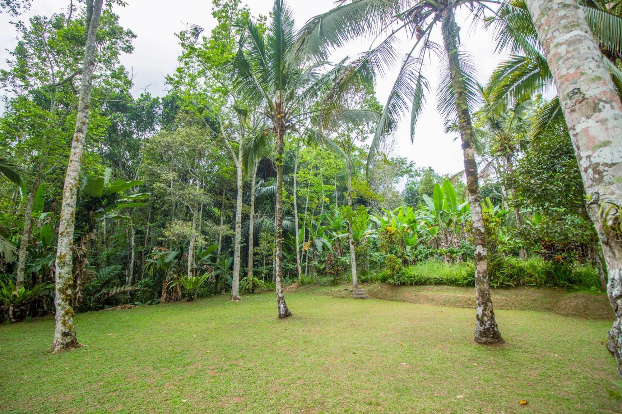 Pesona Bali Ecolodge By Agata Jatiluwih Exterior foto